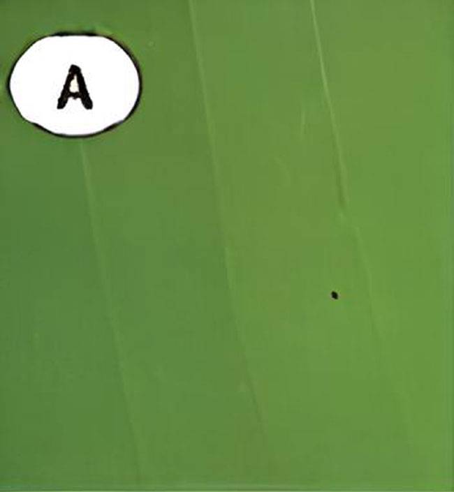 Pseudocercospora musicola